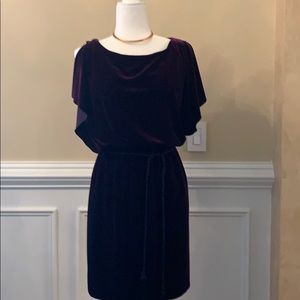 Jessica H Velvet Dress in Rich Purple